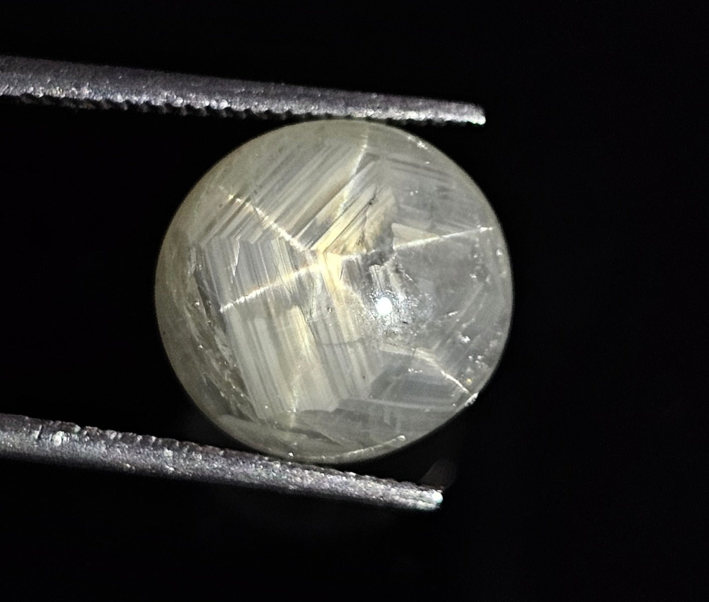 9.18 Carats Natural Concord Green Star Sapphire 11.47 x 9.97 x 6.51 mm