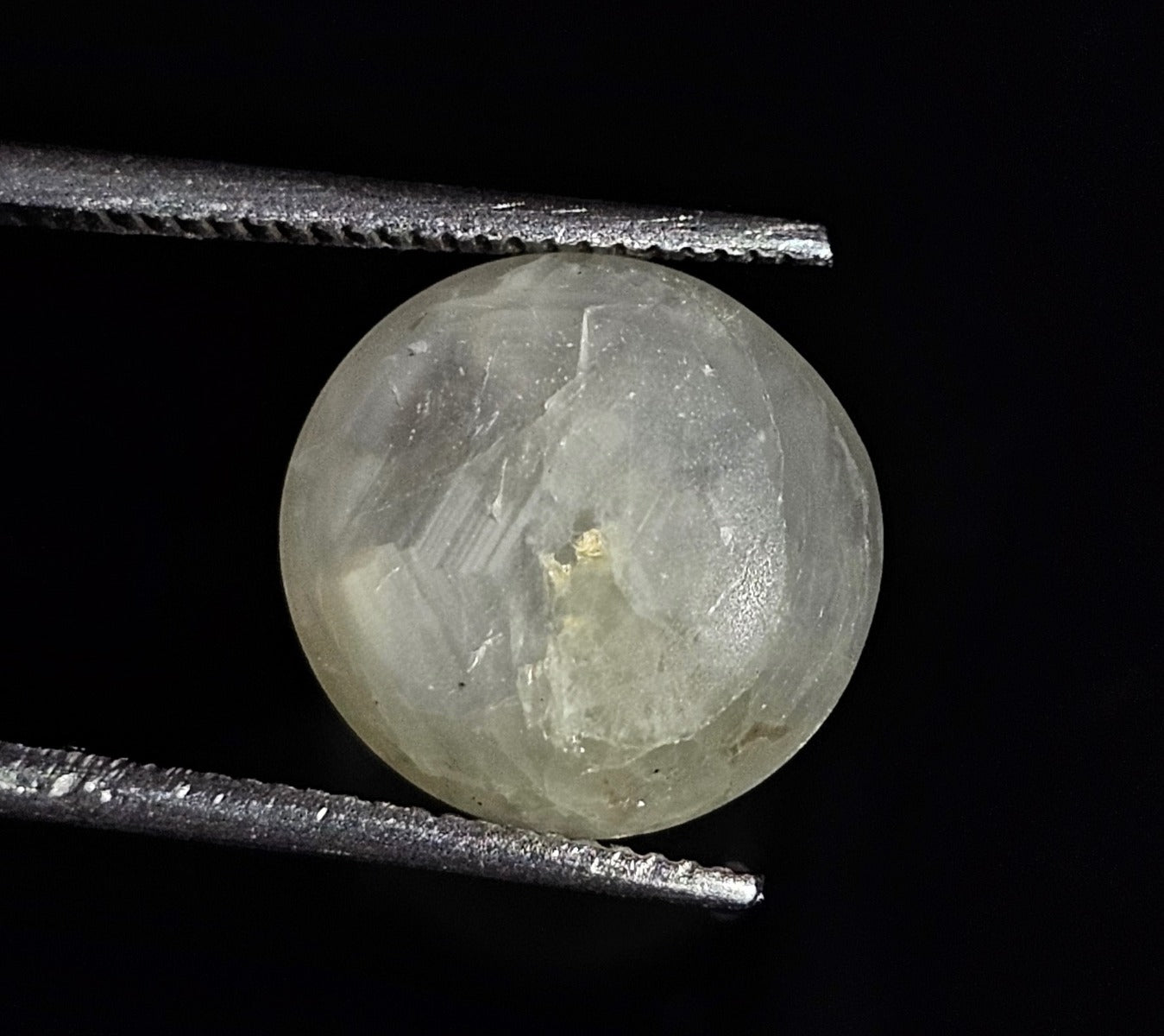 9.18 Carats Natural Concord Green Star Sapphire 11.47 x 9.97 x 6.51 mm