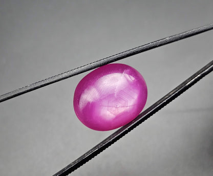 49.53 Carats Natural Johnson Mine Pinkish Red Star Ruby 22.96 x 17.53 x 10.13 mm