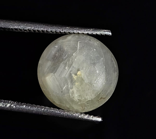 9.18 Carats Natural Concord Green Star Sapphire 11.47 x 9.97 x 6.51 mm