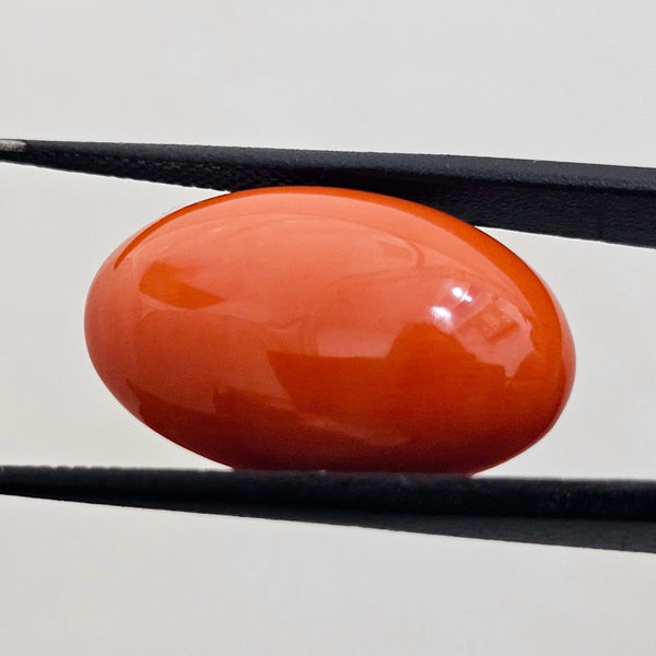 15.73 Carat Natural Japanese Orangish Red Coral 23.06 x 14.80 x 6.53 mm