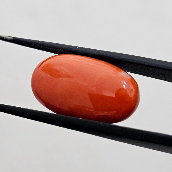 9.05 Carat Natural Japanese Orangish Red Coral 19.27 x 11.21 x 4.97 mm