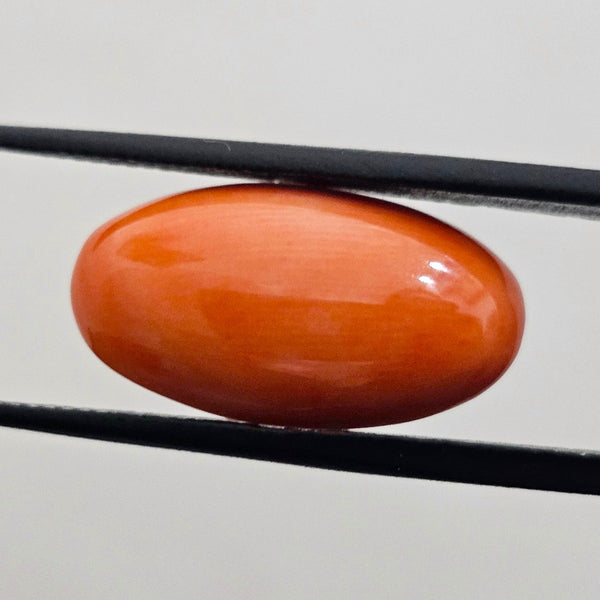 8.93 Carat Natural Japanese Orangish Red Coral 20.36 x 10.98 x 5.71 mm